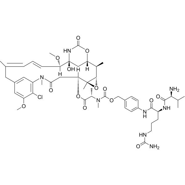 Val-Cit-amide-Ph-Maytansine